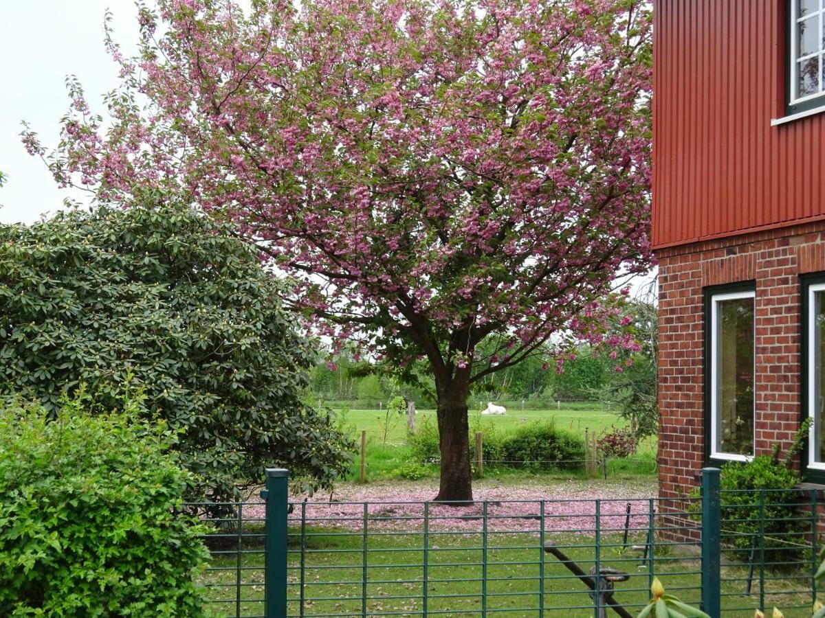 Ferienwohnung Wisbek Brinjahe Exterior foto